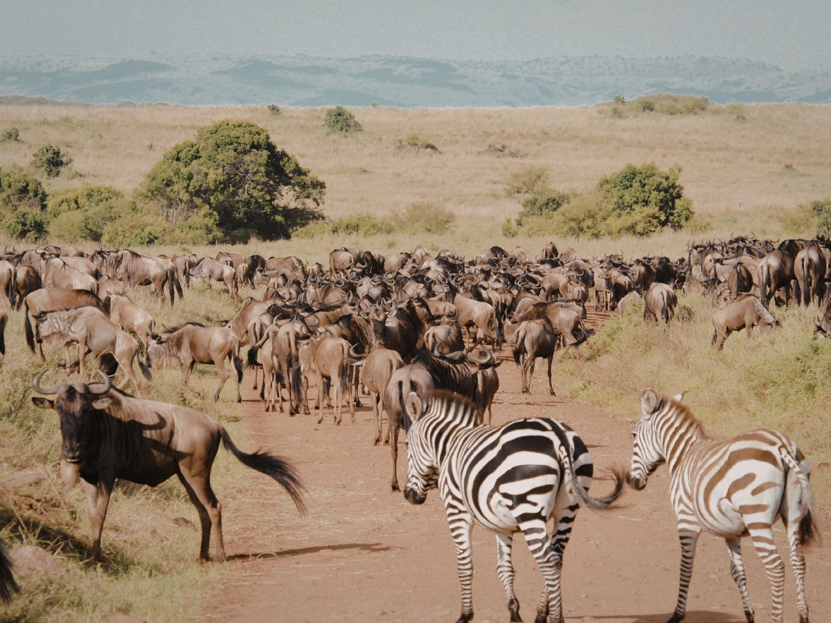 Best Nature & Wildlife Destinations in Australia for 2026 Travel