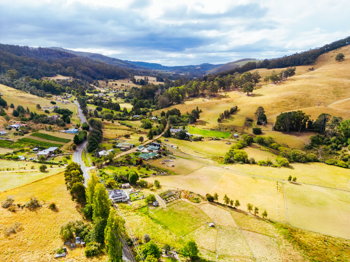 Tasmania’s Oyster Farms: Cool‑Climate Trends from Huon Valley to Hobart
